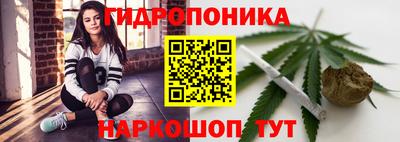 тгк Гусь-Хрустальный