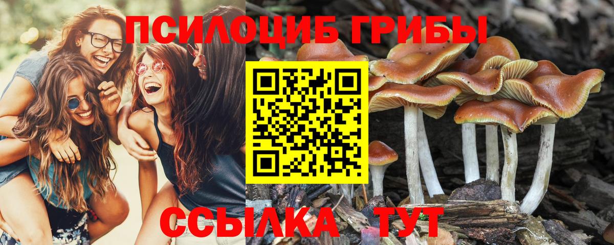 Галлюциногенные грибы MAGIC MUSHROOMS  Вход с VPN  Галлюциногенные грибы мухоморы  Нальчик 